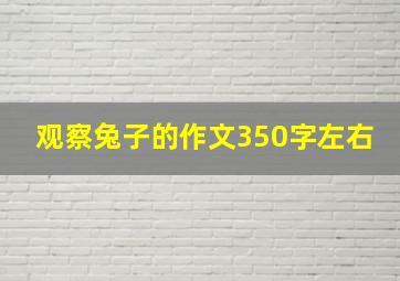 观察兔子的作文350字左右