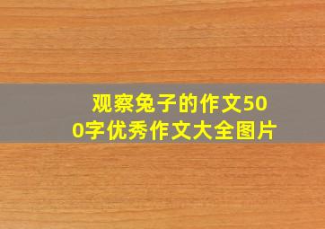 观察兔子的作文500字优秀作文大全图片