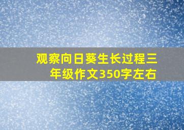 观察向日葵生长过程三年级作文350字左右