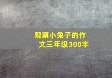 观察小兔子的作文三年级300字