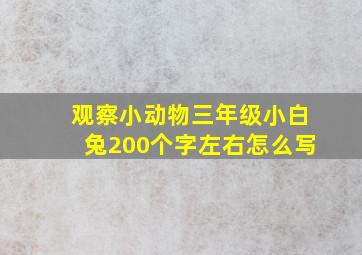 观察小动物三年级小白兔200个字左右怎么写