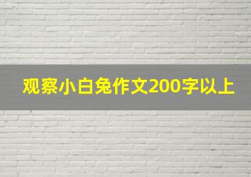 观察小白兔作文200字以上