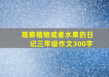 观察植物或者水果的日记三年级作文300字