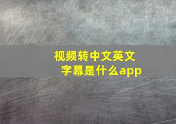 视频转中文英文字幕是什么app