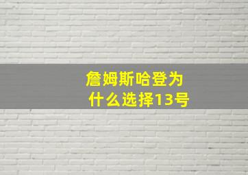 詹姆斯哈登为什么选择13号