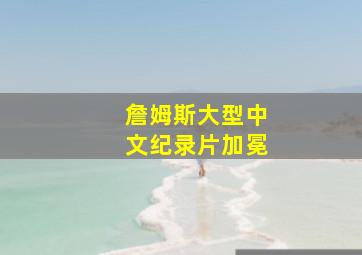 詹姆斯大型中文纪录片加冕