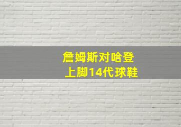 詹姆斯对哈登上脚14代球鞋