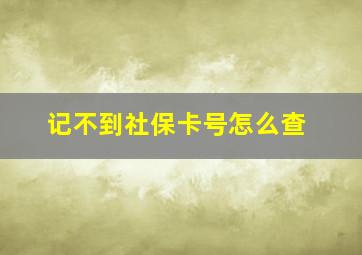 记不到社保卡号怎么查