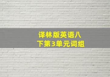 译林版英语八下第3单元词组