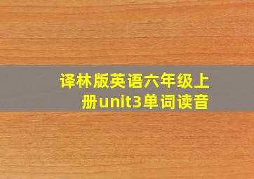 译林版英语六年级上册unit3单词读音