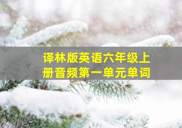 译林版英语六年级上册音频第一单元单词