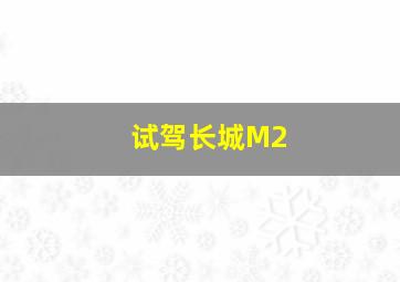 试驾长城M2