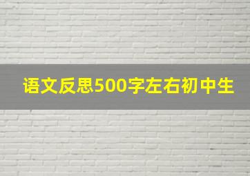 语文反思500字左右初中生