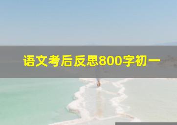 语文考后反思800字初一