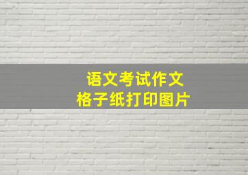 语文考试作文格子纸打印图片