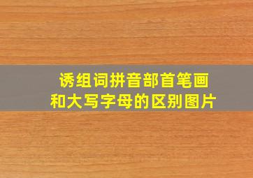 诱组词拼音部首笔画和大写字母的区别图片