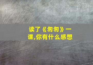 读了《匆匆》一课,你有什么感想