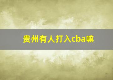 贵州有人打入cba嘛