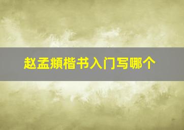 赵孟頫楷书入门写哪个