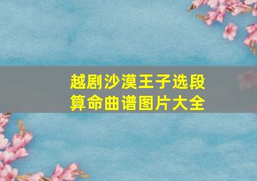 越剧沙漠王子选段算命曲谱图片大全