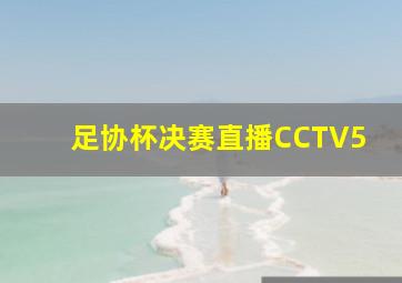 足协杯决赛直播CCTV5