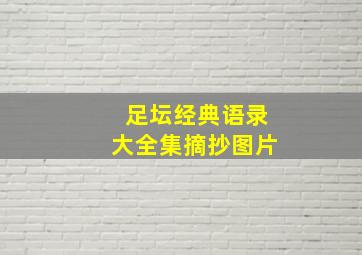 足坛经典语录大全集摘抄图片