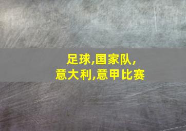 足球,国家队,意大利,意甲比赛