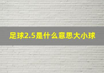 足球2.5是什么意思大小球