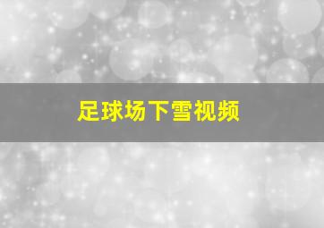 足球场下雪视频