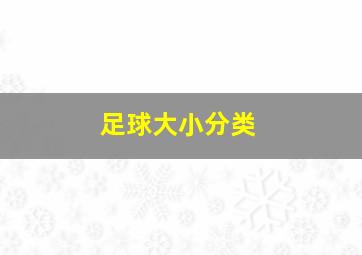 足球大小分类