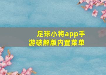 足球小将app手游破解版内置菜单