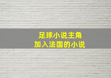 足球小说主角加入法国的小说