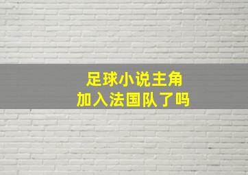 足球小说主角加入法国队了吗