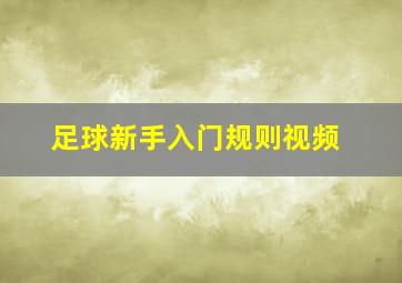 足球新手入门规则视频