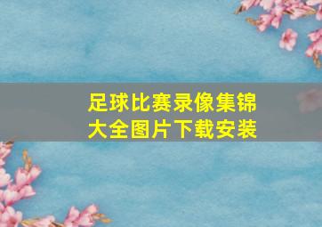 足球比赛录像集锦大全图片下载安装