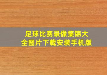 足球比赛录像集锦大全图片下载安装手机版