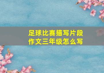 足球比赛描写片段作文三年级怎么写