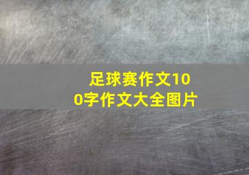 足球赛作文100字作文大全图片