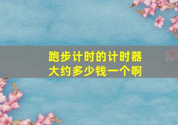 跑步计时的计时器大约多少钱一个啊