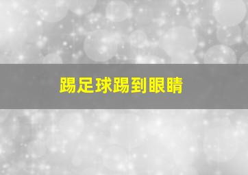 踢足球踢到眼睛