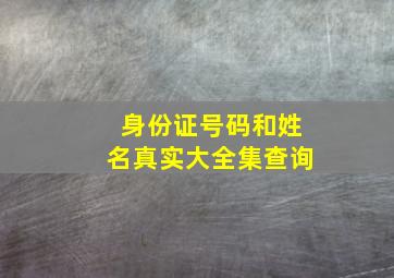 身份证号码和姓名真实大全集查询