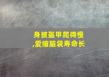 身披盔甲爬得慢,爱缩脑袋寿命长