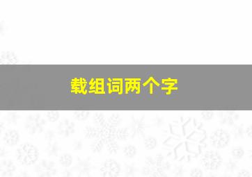 载组词两个字