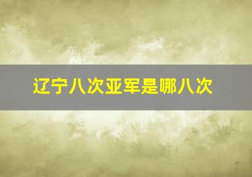 辽宁八次亚军是哪八次