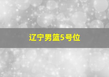 辽宁男篮5号位