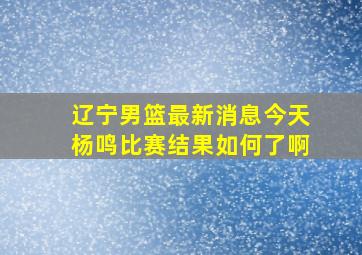 辽宁男篮最新消息今天杨鸣比赛结果如何了啊