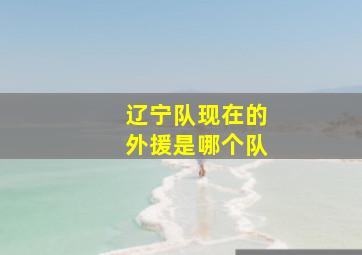 辽宁队现在的外援是哪个队