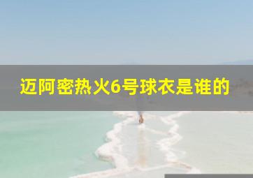 迈阿密热火6号球衣是谁的