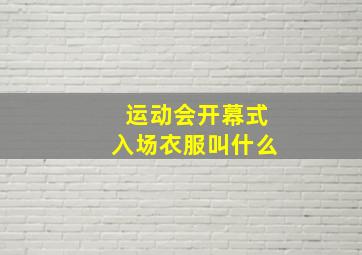 运动会开幕式入场衣服叫什么