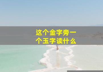 这个金字旁一个玉字读什么